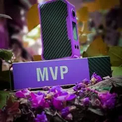 DOVPO MVP MOD BOX 220W (1)