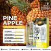 THIS IS SALT INFY POD PINEAPPLE