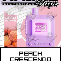 Walkie Vape 6000 Puffs Peach Crescendo