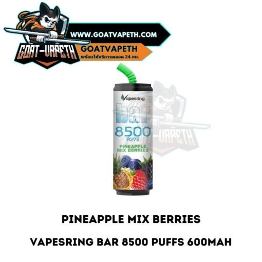 Vapesring Bar 8500 Puffs Pineapple Mix Berries