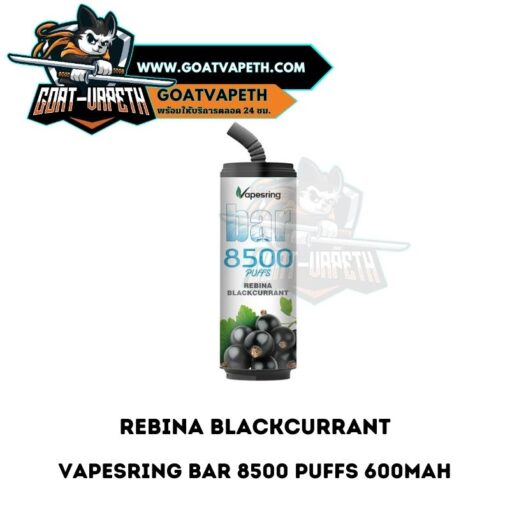Vapesring Bar 8500 Puffs Rebina Blackcurrant