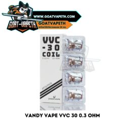Vandy Vape VVC 30 0.3ohm Coil
